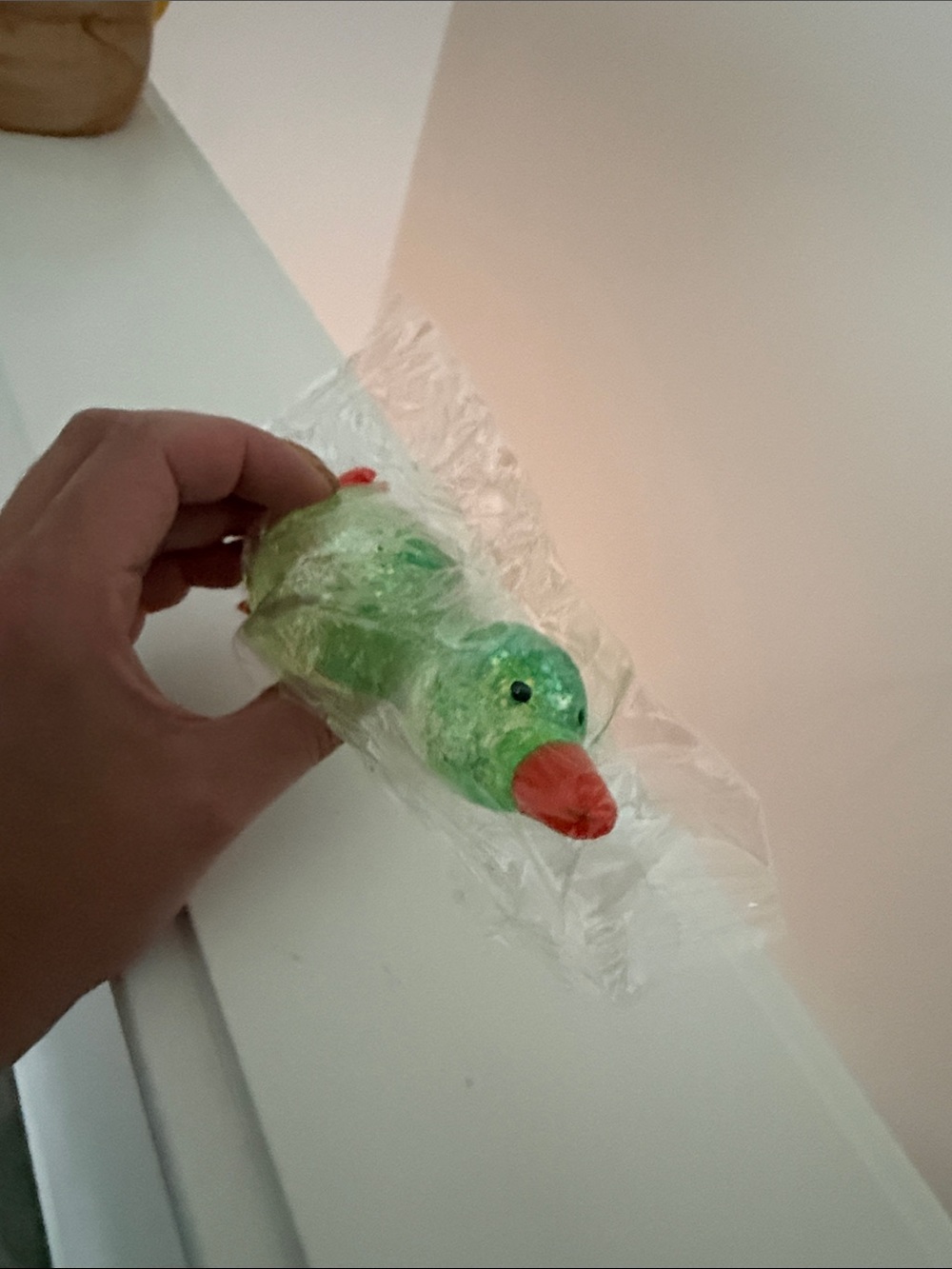 Duck squishy